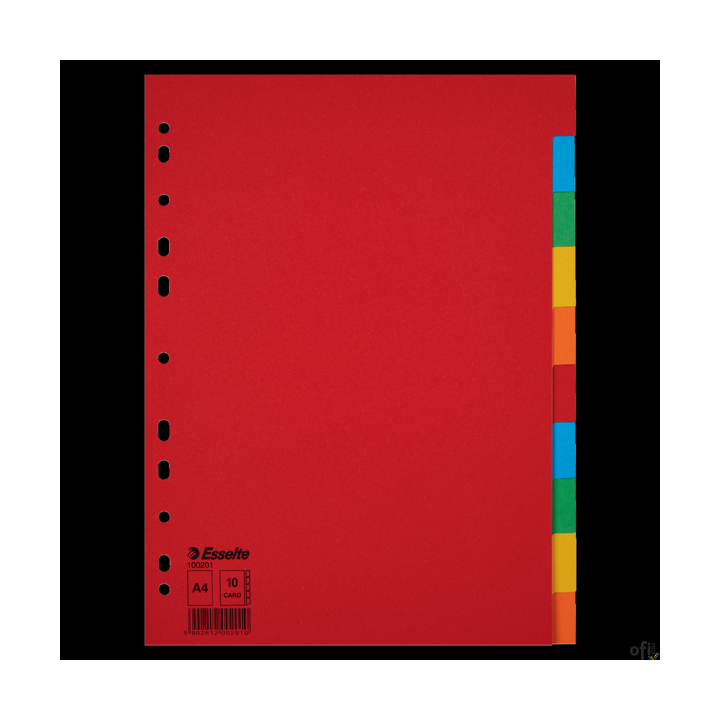 Przekładki karton A4 10 kart ESSELTE 100201 kolorowe bez karty opisowej
