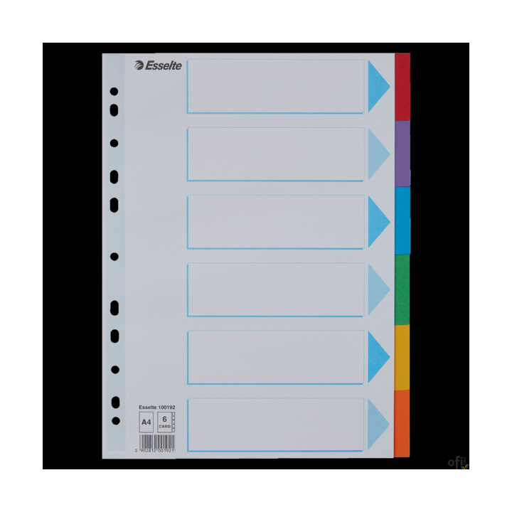 Przekładki karton A4 6 kart ESSELTE 100192 kolorowe z kartą opisową