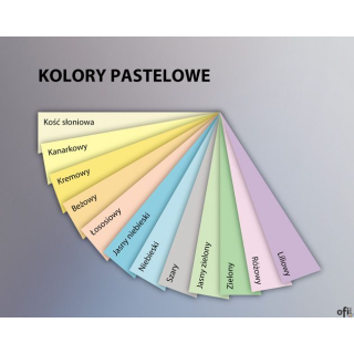 Papiery ksero kolorowe_- pastelowe, żywe, głębokie i neonowe odcienie_- papier kolorowy nadaje kolory Twojej korespondencji_- pr