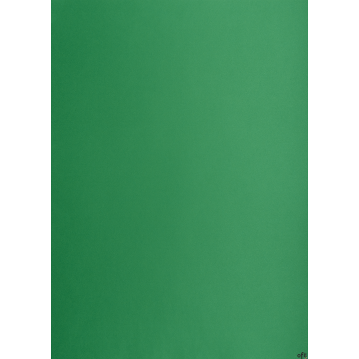 Karton kolorowy Oxford B2 225g 25ark nr.63 c.zielony 400150339 TOP-2000