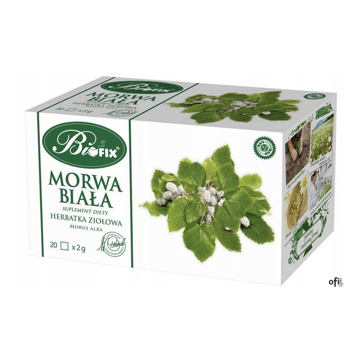 Herbata BIFIX Morwa Biała 20t ziołowa