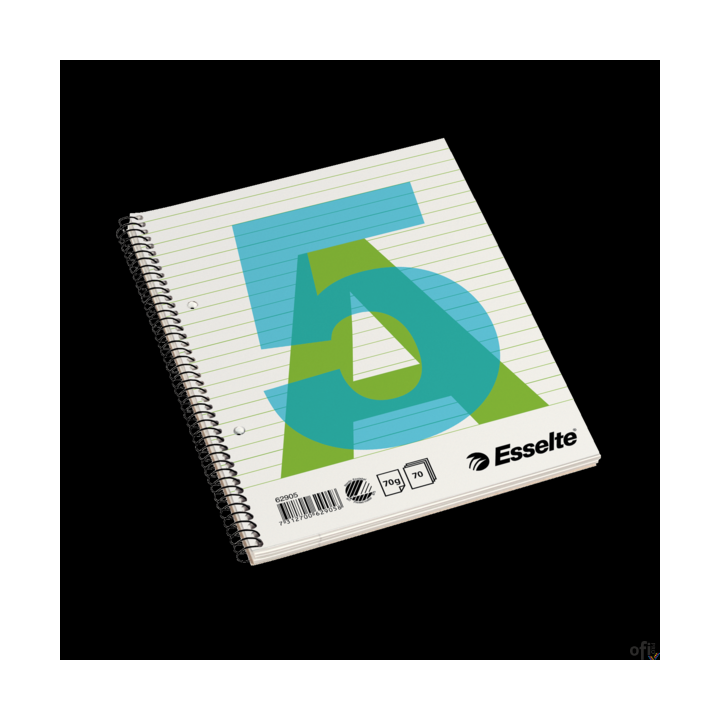 Zeszyt biurowy, A5, w linię, spirala z boku Esselte, 62905