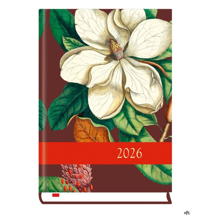 Terminarz Powszechny B6 2026 Michalczyk i Prokop T-200F-01