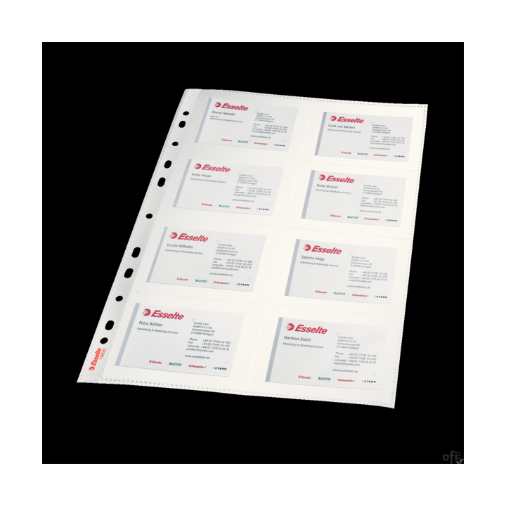 Koszulki na 16 wizytówek A4 ESSELTE (10szt) 78930
