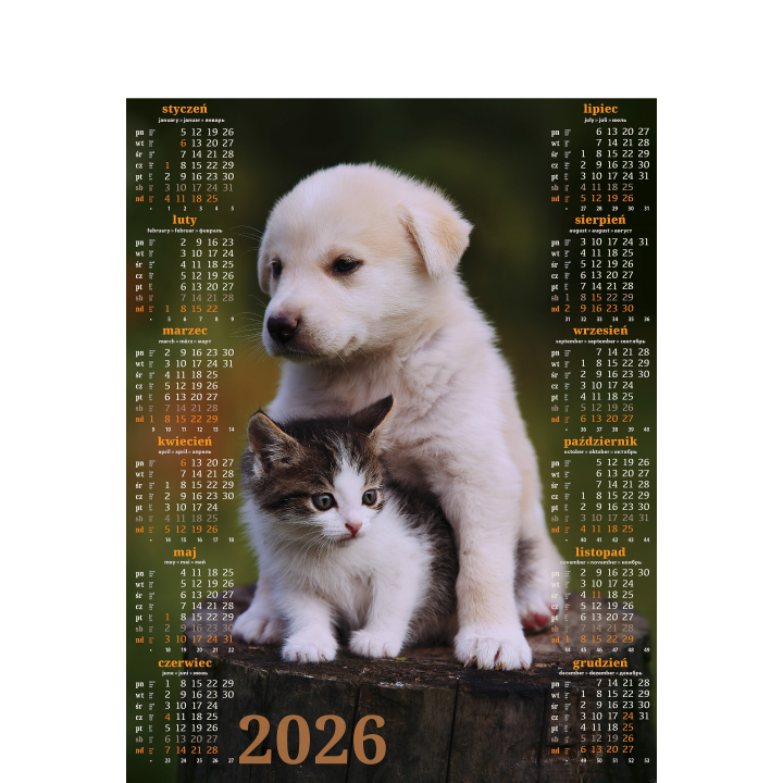 Kalendarz Plakatowy B-1, P18 - PRZYJACIELE 2027