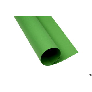 Karton kolorowy A3 160g 25ark zielony 400150241 OXFORD