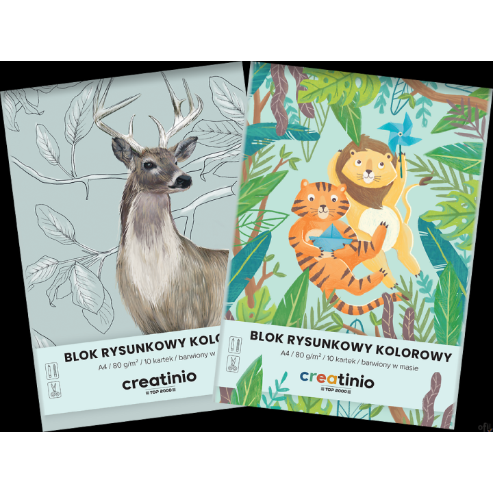 Blok rysunkowy Top 2000 Creatinio A4 10 kartek 80 g kolor 400176665 .