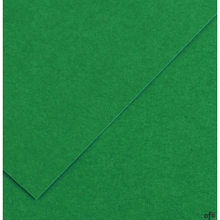 Karton kolorowy Oxford B1 225g 25ark nr.63 c.zielony 400150269 TOP-2000