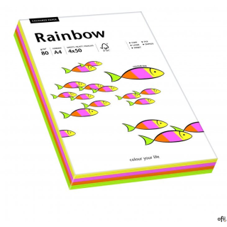 Papier xero kolorowy A4 80g 100 ark. RAINBOW mix pastelowy 88043187