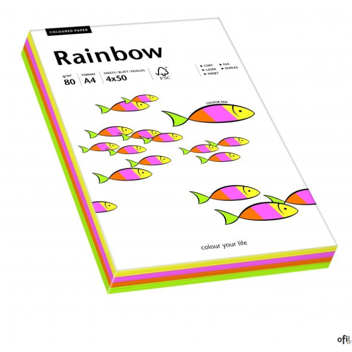 Papier xero kolorowy RAINBOW mix pastelowy 100 ark. 88043187