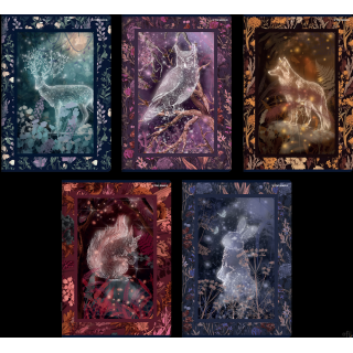 Zeszyt Top Fairytale A5 60 kartek 70 g linia 400182441