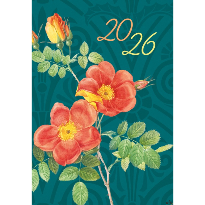 Terminarz Mikro 69x99mm 2026 Michalczyk i Prokop T-MIKRO-02 KALENDARZ