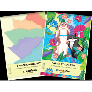Papier kolorowy Top 2000 Creatinio A5 10 kartek 80 g 400176683