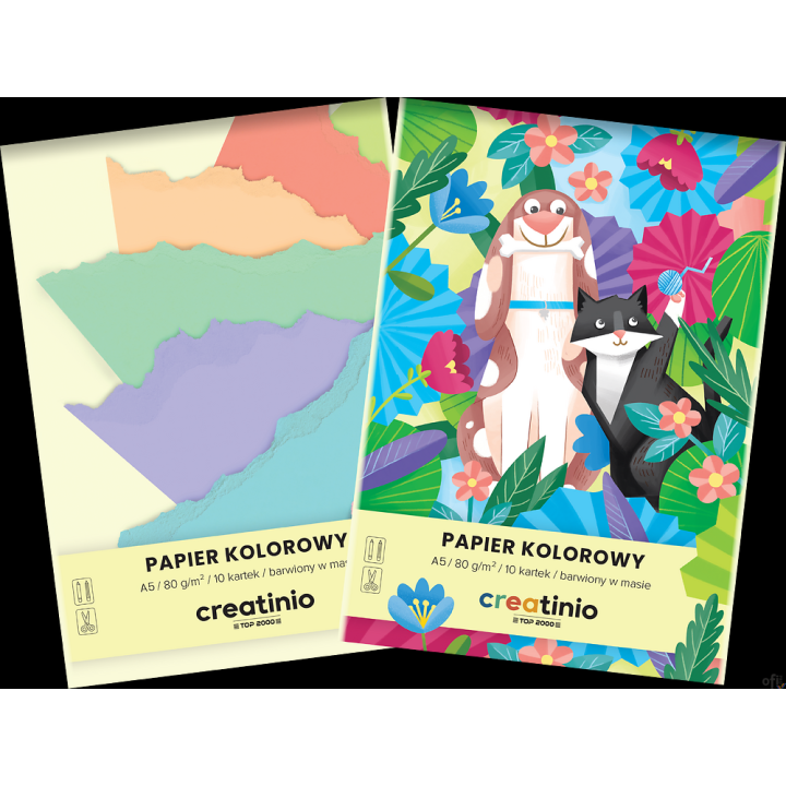 Papier kolorowy Top 2000 Creatinio A5 10 kartek 80 g 400176683 .