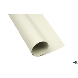 Karton kolorowy Oxford B1 225g 25ark nr.93 j.szary 400150253 TOP-2000