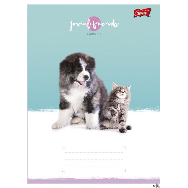 Zeszyt A5 32k linia dwukolo.L mix dziewczęcy laminowany      UNIPAP *6991