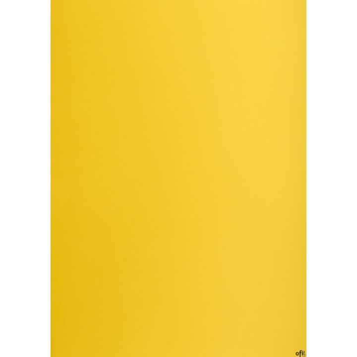 Karton kolorowy Oxford B2 225g 25ark nr.58 c.żółty 400150326 TOP-2000