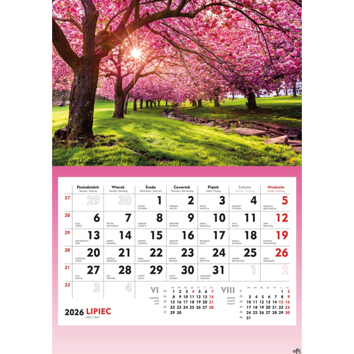 Terminarz Ścienny 2026 Michalczyk i Prokop T-107S-3 kalendarz jednodzielny