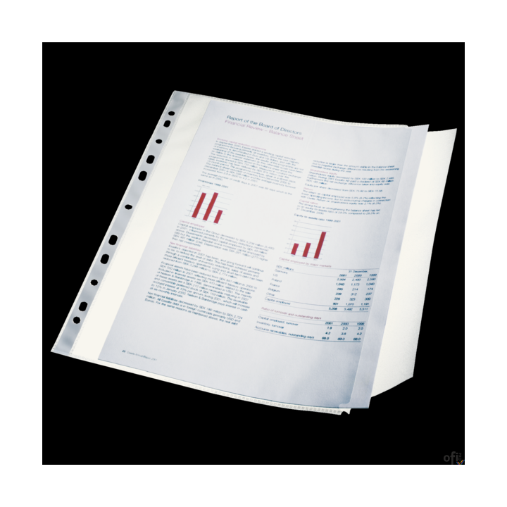 Koszulka groszkowa z klapką A4 ESSELTE 100 mic. (10szt) 17939