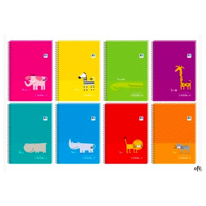 Kołozeszyt A6 80 kr.z poddrukiem B&B KIDS 9365