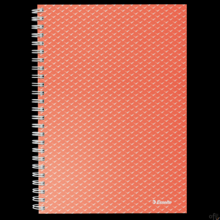 Kołonotatnik Colour Breeze A5, w kratkę, koralowy Esselte 628468