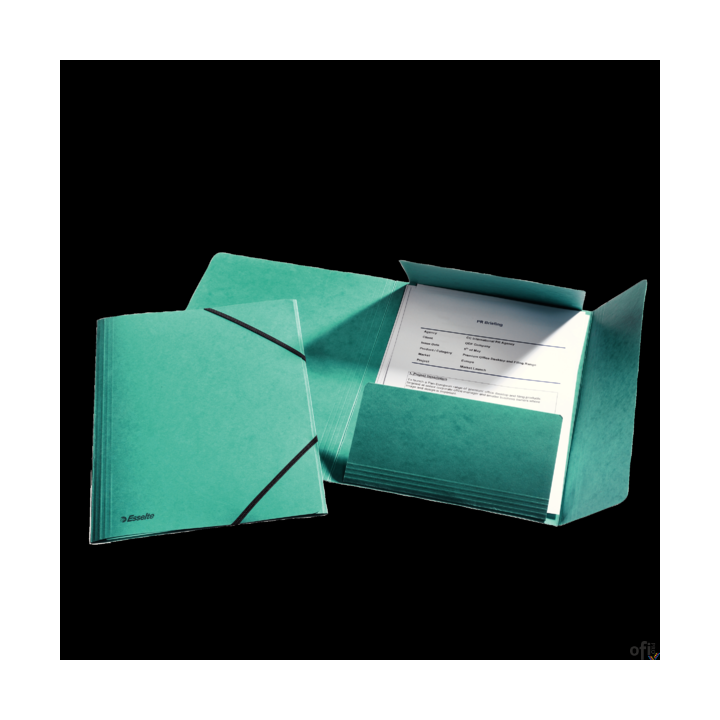 Teczka kartonowa z gumkami ESSELTE zielona 26596