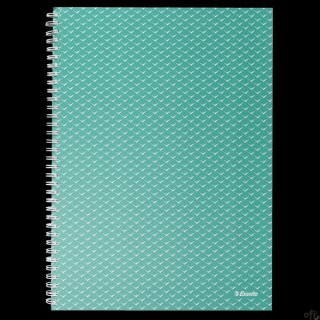 Kołonotatnik Colour Breeze A4, w kratkę, zielony Esselte 628477