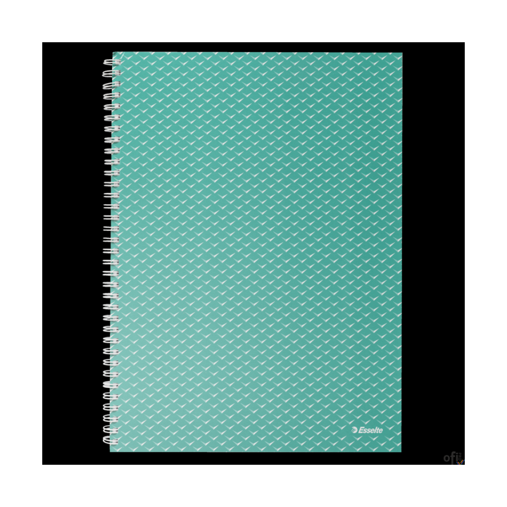 Kołonotatnik Colour Breeze A4, w kratkę, zielony Esselte 628477