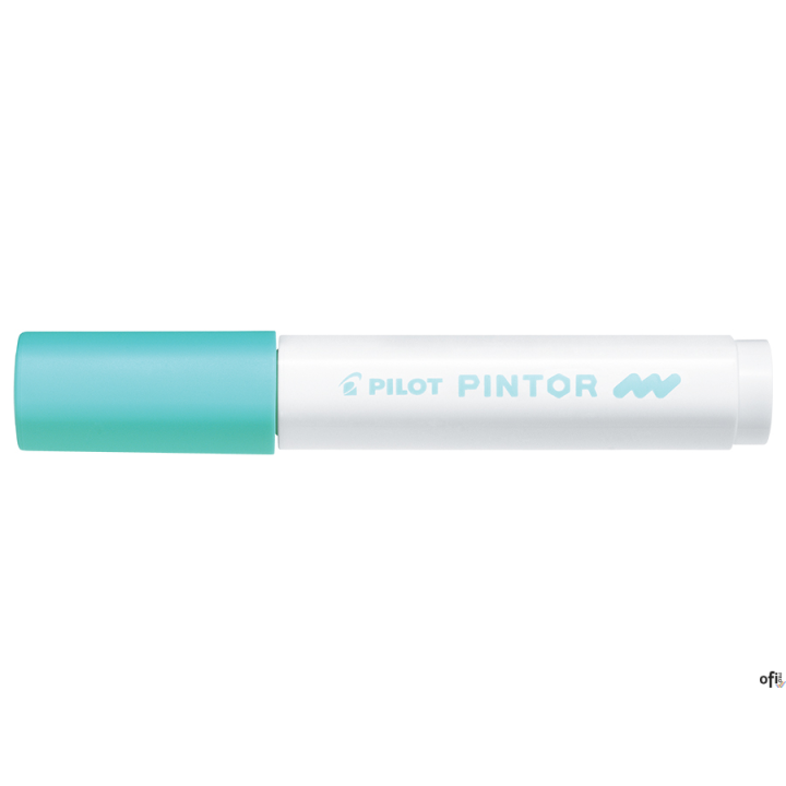 Marker PINTOR M pastelowy zielony PISW-PT-M-PG PILOT (X)