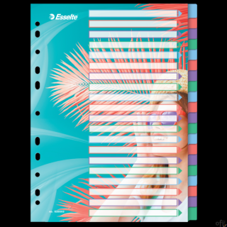 Przekładki ColourBreeze PP A4, 20 przekładek Esselte 628502