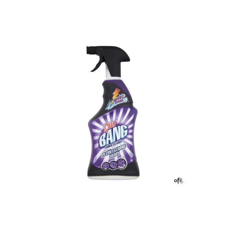 CILLIT BANG Płyn do czyszczenia w sprayu 750ml pleśń i czarne osady 67309