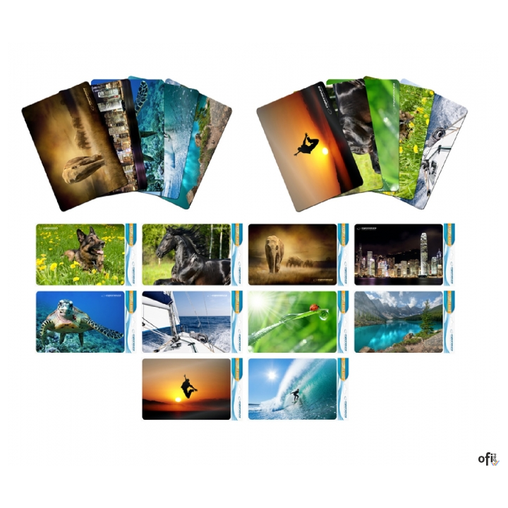 Podkładka pod mysz ESPERANZA duża 235x195 mix wzorów EA133