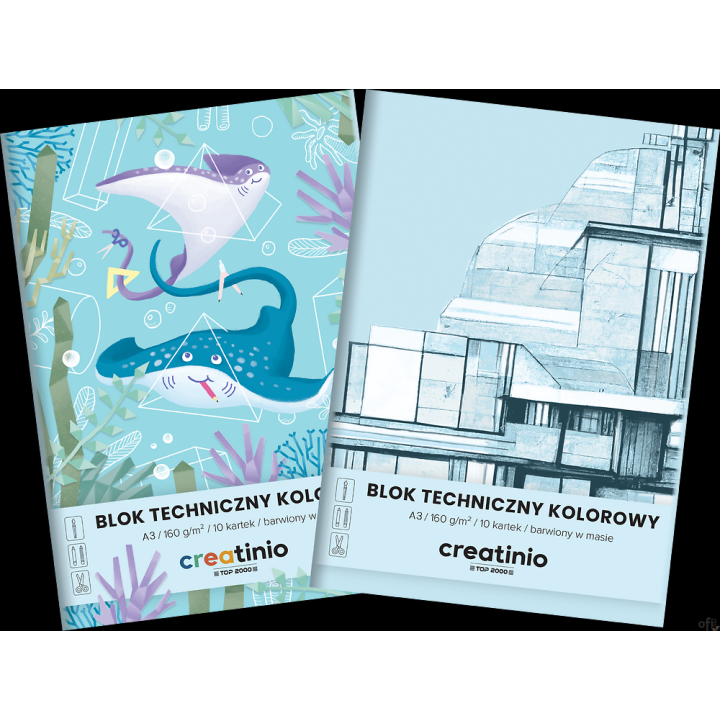 Blok techniczny Top 2000 Creatinio A3 10 kartek 160 g kolor 400176680 .