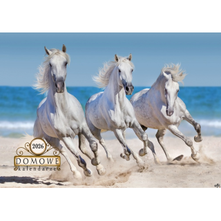 Terminarz Domowy 200x218mm 2026 - Konie Michalczyk i Prokop TW-10-6 KALENDARZ jednodzielny 200x285mm