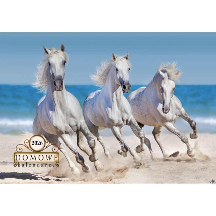 Terminarz Domowy 200x218mm 2026 - Konie Michalczyk i Prokop TW-10-6 KALENDARZ jednodzielny 200x285mm