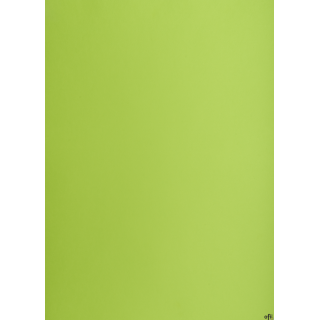 Karton kolorowy Oxford B2 225g 25ark nr.66 j.zielony 400150337 TOP-2000