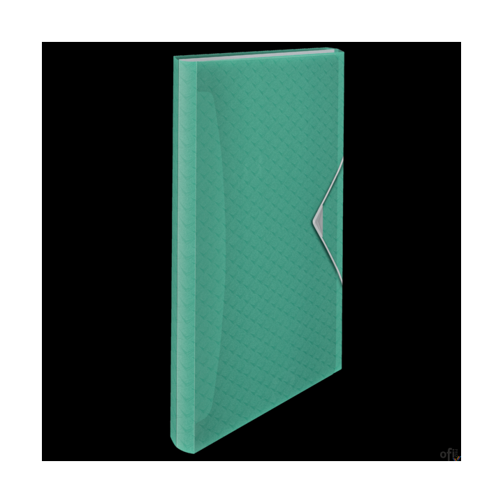 Teczka z przegródkami Esselte ColourBreeze, 6 przegródek, zielony 626253