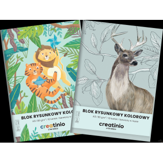 Blok rysunkowy Top 2000 Creatinio A3 10 kartek 80 g kolor 400176666