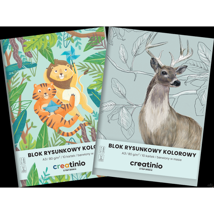 Blok rysunkowy Top 2000 Creatinio A3 10 kartek 80 g kolor 400176666 .