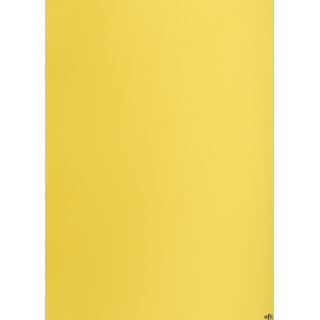 Karton kolorowy Oxford B2 225g 25ark nr.55 żółty 400150334 TOP-2000