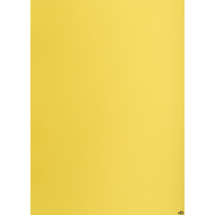 Karton kolorowy Oxford B2 225g 25ark nr.55 żółty 400150334 TOP-2000