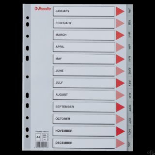Przekładki plastikowe szare PP A4 12 miesięcy 100114 numeryczne ESSELTE