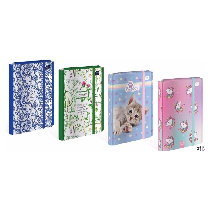 Teczka z gumką twarda oprawa A4+ GIRLS INTERDRUK