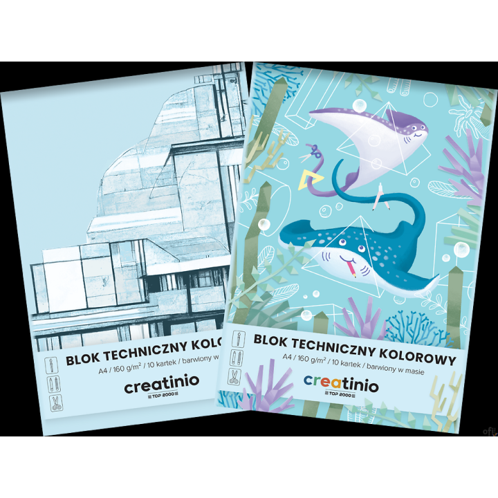 Blok techniczny Top 2000 Creatinio A4 10 kartek 160 g kolor 400176669 .