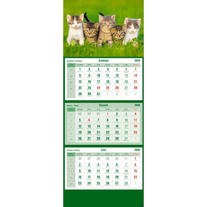 Kalendarz trójdzielny 2026 Koty Michalczyk i Prokop T-105T-10