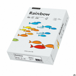 Papier xero kolorowy  A4 160g   j.szary R93 RAINBOW 88042791/84 (X)