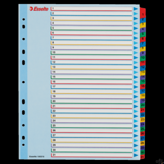 Przekładki kartonowe MYLAR A4 MAXI 1-31 ESSELTE 100210