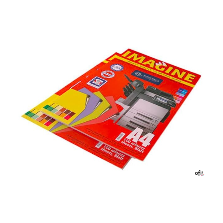 Papier xero A4 (100)5 intens.koloryx20kar. INTERDRUK *4065