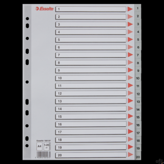 Przekładki plastikowe numeryczne A4 1-20 szare ESSELTE 100107
