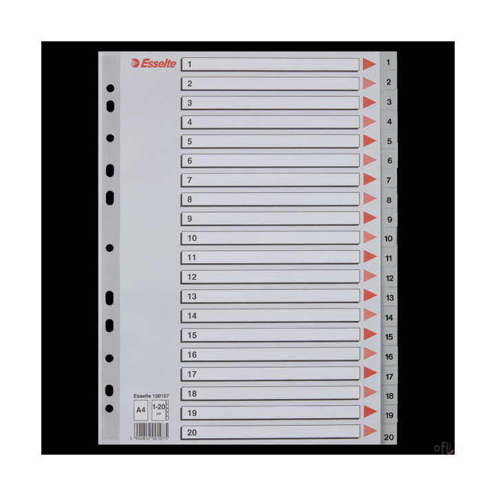 Przekładki plastikowe numeryczne A4 1-20 szare ESSELTE 100107